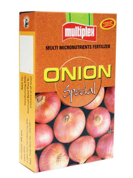 uploads/images/prod/Onion Special.png